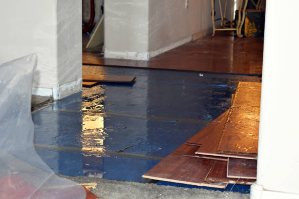 Professional Burst Pipe Cleanup technician working in Beryl, UT